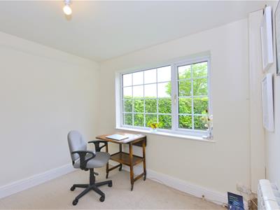 Picture 20